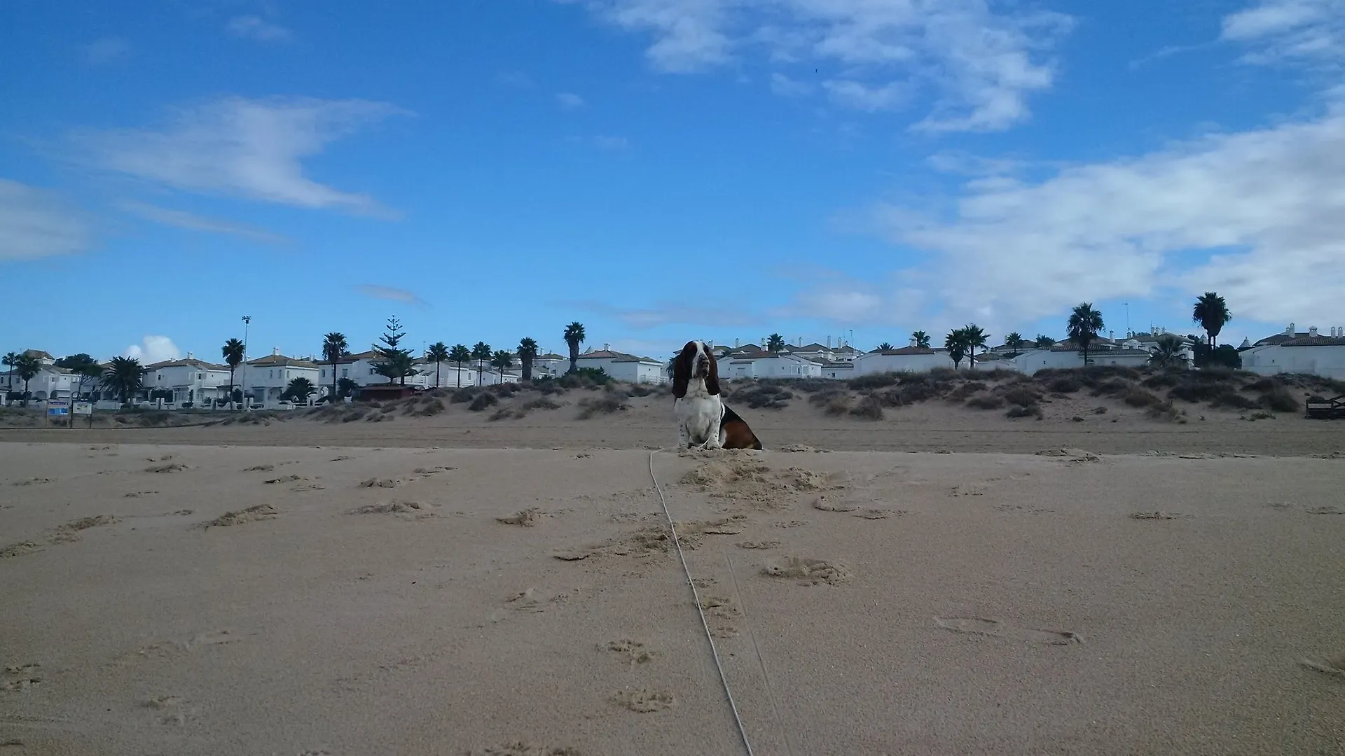 House With 4 Bedrooms In Chiclana De La Frontera, With Wonderful Sea V Apartment